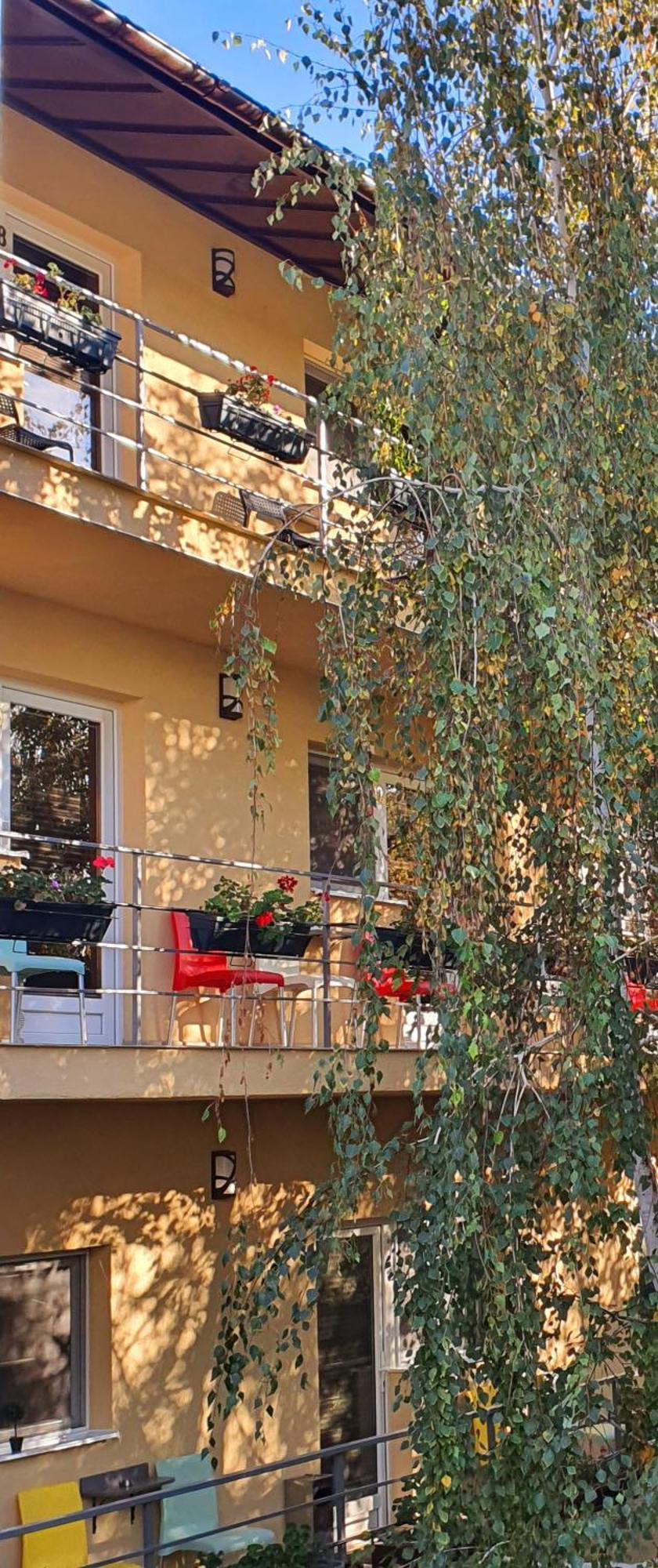 Vila Sia Bukurešť Exteriér fotografie